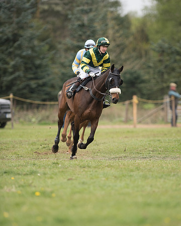 Race 5 - Open Maiden (10 of 72).jpg