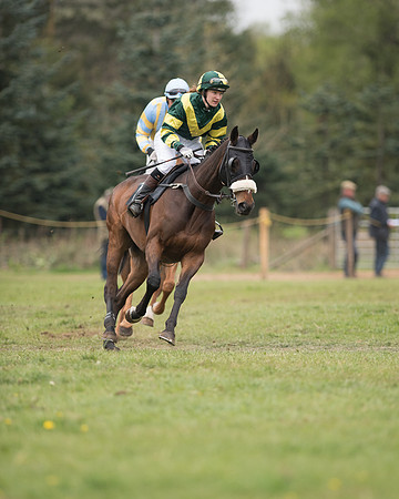 Race 5 - Open Maiden (11 of 72).jpg