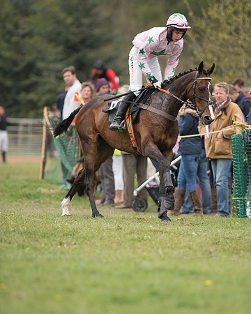 Race 5 - Open Maiden (13 of 72).jpg