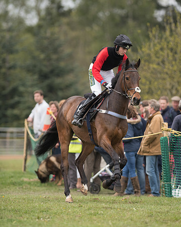 Race 5 - Open Maiden (18 of 72).jpg