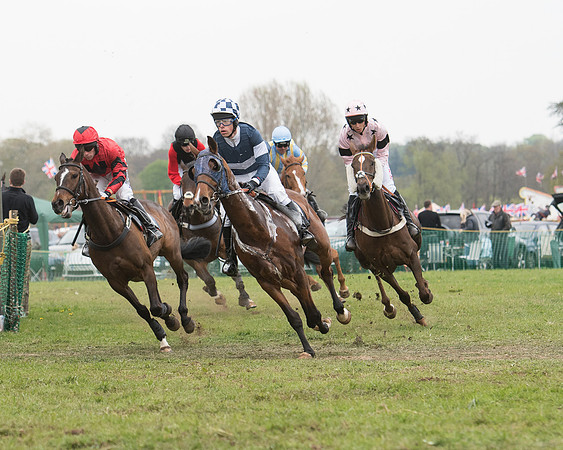 Race 5 - Open Maiden (23 of 72).jpg