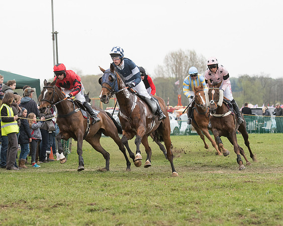 Race 5 - Open Maiden (24 of 72).jpg