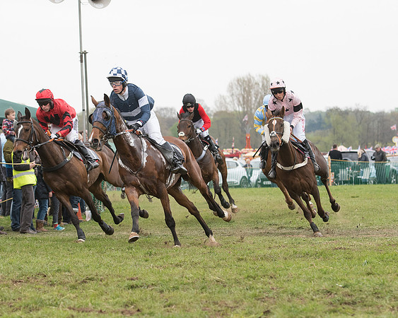 Race 5 - Open Maiden (25 of 72).jpg