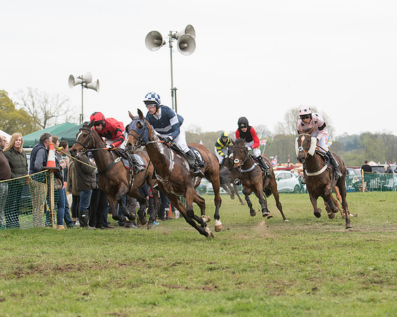 Race 5 - Open Maiden (26 of 72).jpg