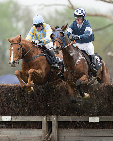 Race 5 - Open Maiden (29 of 72).jpg