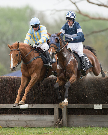 Race 5 - Open Maiden (30 of 72).jpg
