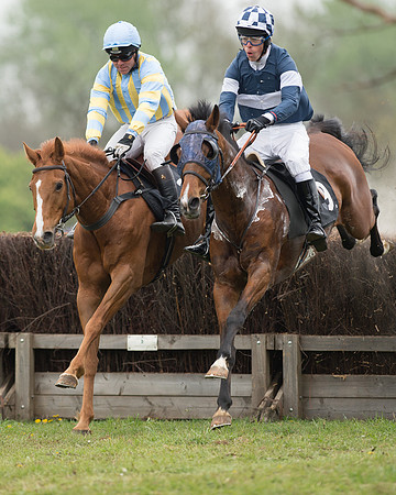 Race 5 - Open Maiden (31 of 72).jpg