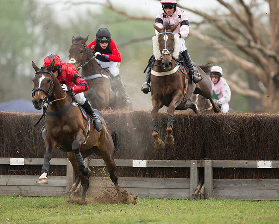 Race 5 - Open Maiden (33 of 72).jpg