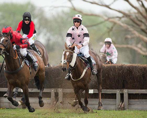 Race 5 - Open Maiden (36 of 72).jpg