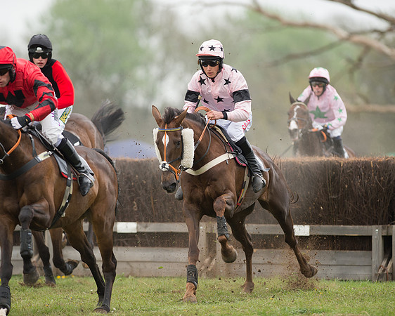 Race 5 - Open Maiden (38 of 72).jpg