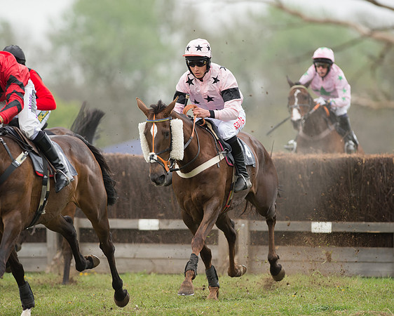 Race 5 - Open Maiden (39 of 72).jpg