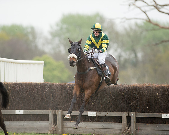 Race 5 - Open Maiden (44 of 72).jpg