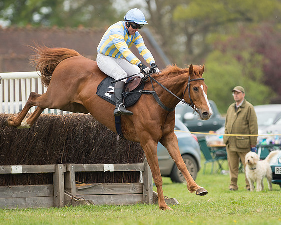 Race 5 - Open Maiden (49 of 72).jpg