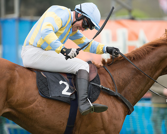 Race 5 - Open Maiden (66 of 72).jpg