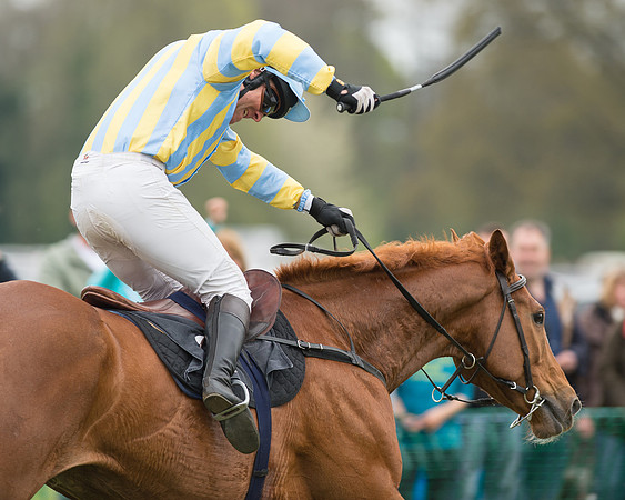 Race 5 - Open Maiden (68 of 72).jpg