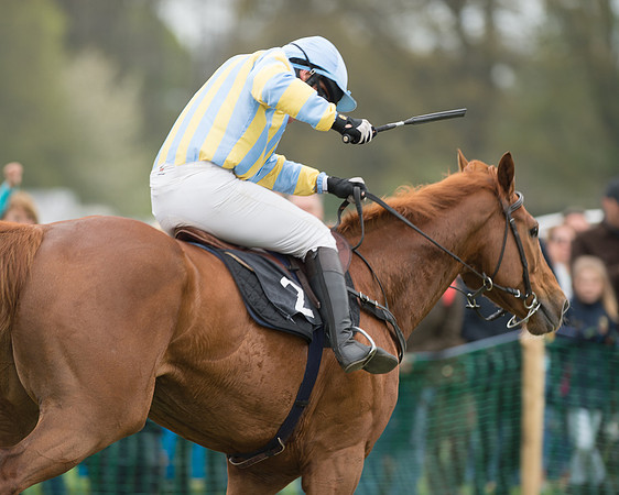 Race 5 - Open Maiden (69 of 72).jpg
