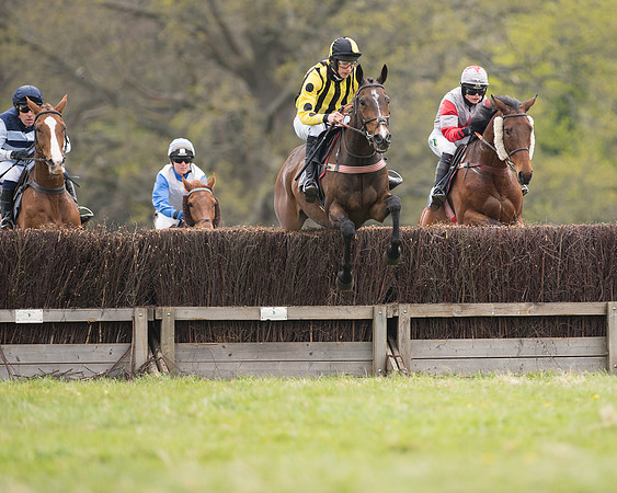 Race 6 - SE Hunts Conditions (8 of 48).jpg