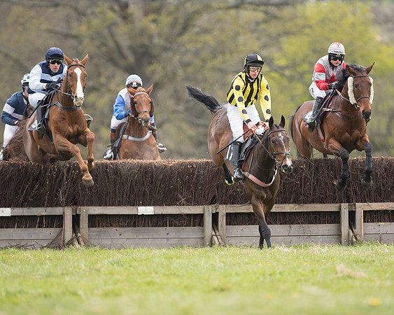 Race 6 - SE Hunts Conditions (10 of 48).jpg