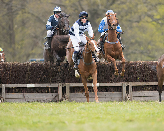 Race 6 - SE Hunts Conditions (11 of 48).jpg