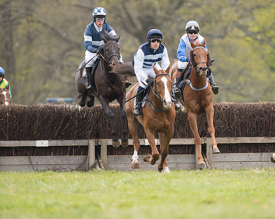 Race 6 - SE Hunts Conditions (12 of 48).jpg