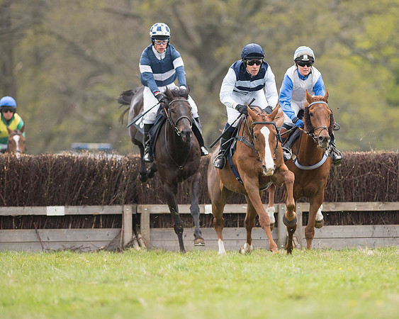 Race 6 - SE Hunts Conditions (13 of 48).jpg