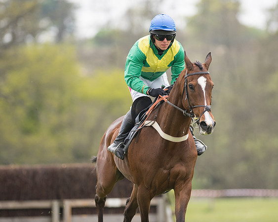 Race 6 - SE Hunts Conditions (19 of 48).jpg