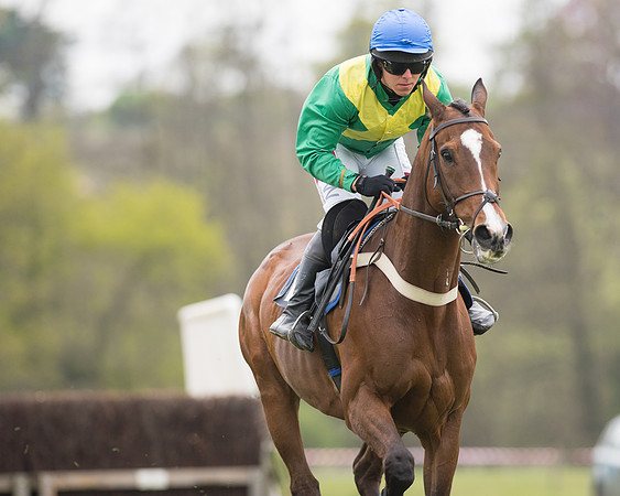 Race 6 - SE Hunts Conditions (20 of 48).jpg