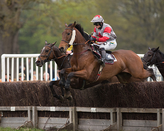 Race 6 - SE Hunts Conditions (22 of 48).jpg