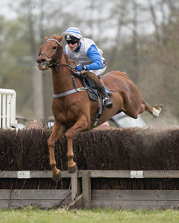 Race 6 - SE Hunts Conditions (31 of 48)-2.jpg