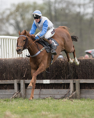 Race 6 - SE Hunts Conditions (32 of 48).jpg