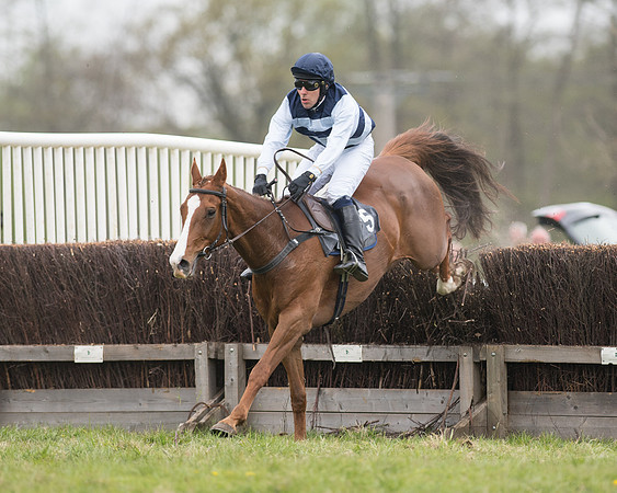 Race 6 - SE Hunts Conditions (36 of 48).jpg