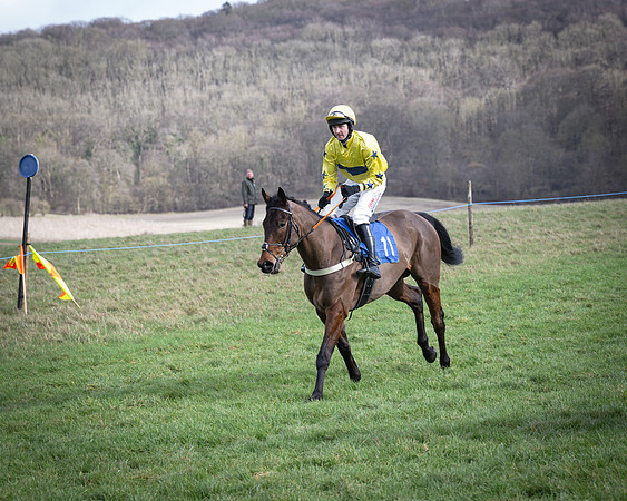 Race 1 - Four and Five year Old Maiden (50 of 137)