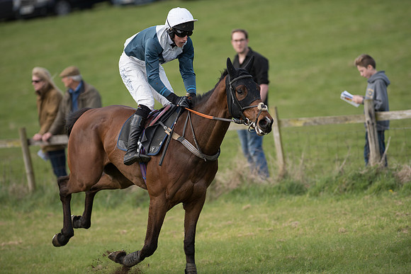 Race 3 - 2 Mile 4 Maiden (88 of 106).jpg