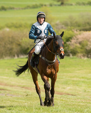 Race 3 - 2 Mile 4 Maiden (100 of 106).jpg