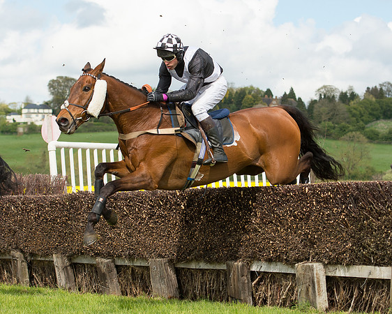 Race 4 - Fernie Gold Cup (6 of 78).jpg