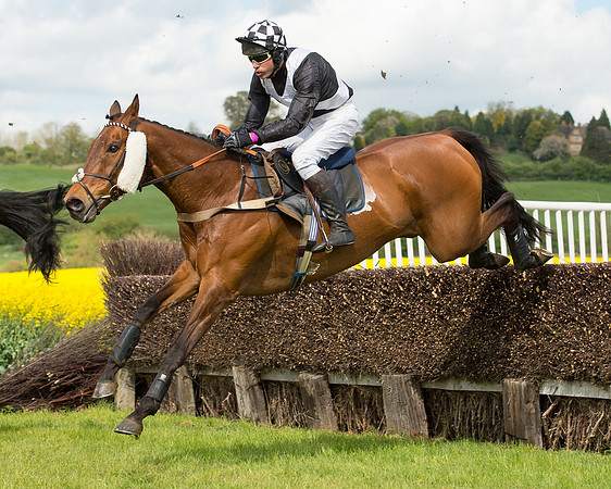 Race 4 - Fernie Gold Cup (7 of 78).jpg
