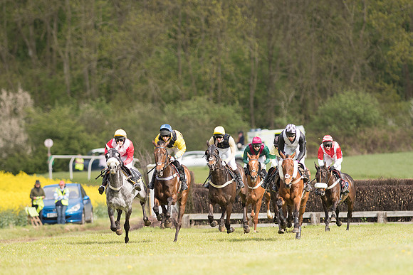 Race 4 - Fernie Gold Cup (25 of 78).jpg