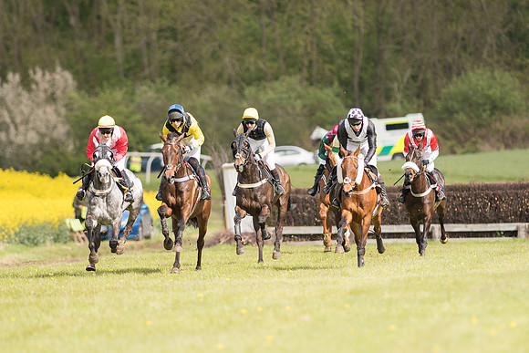 Race 4 - Fernie Gold Cup (29 of 78).jpg