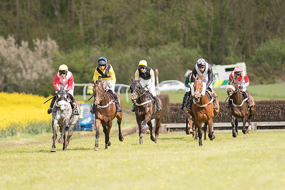 Race 4 - Fernie Gold Cup (30 of 78).jpg