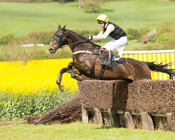 Race 4 - Fernie Gold Cup (35 of 78).jpg
