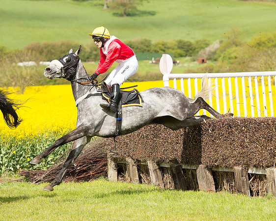 Race 4 - Fernie Gold Cup (38 of 78).jpg