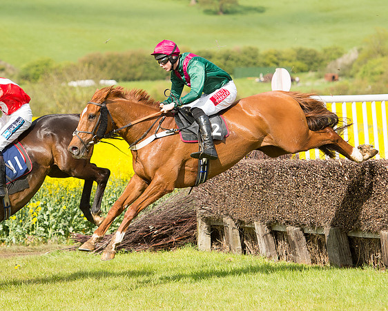 Race 4 - Fernie Gold Cup (45 of 78).jpg