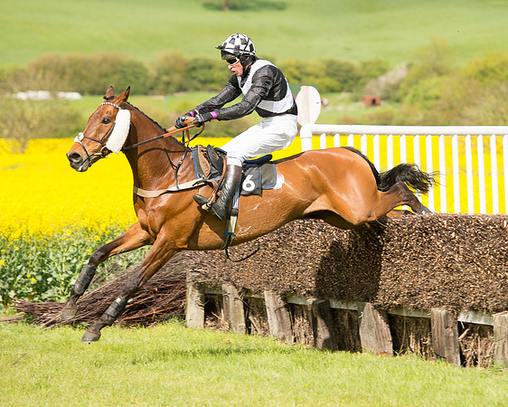 Race 4 - Fernie Gold Cup (50 of 78).jpg