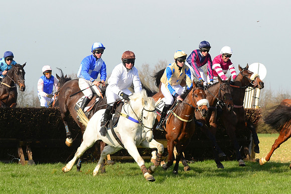 Race 2 Open Maiden Div 1 -  40