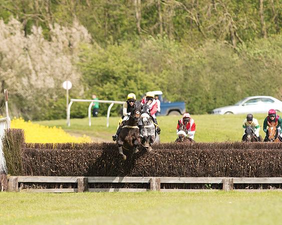 Race 4 - Fernie Gold Cup (52 of 78).jpg