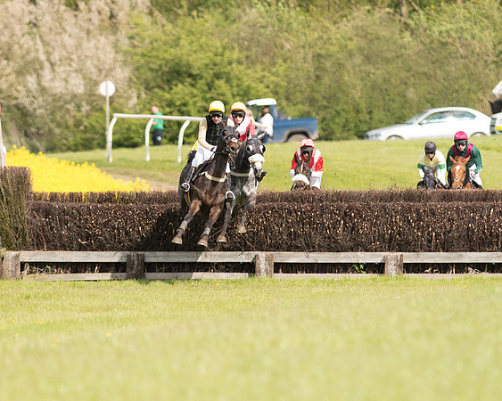 Race 4 - Fernie Gold Cup (53 of 78).jpg