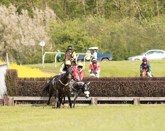 Race 4 - Fernie Gold Cup (54 of 78).jpg