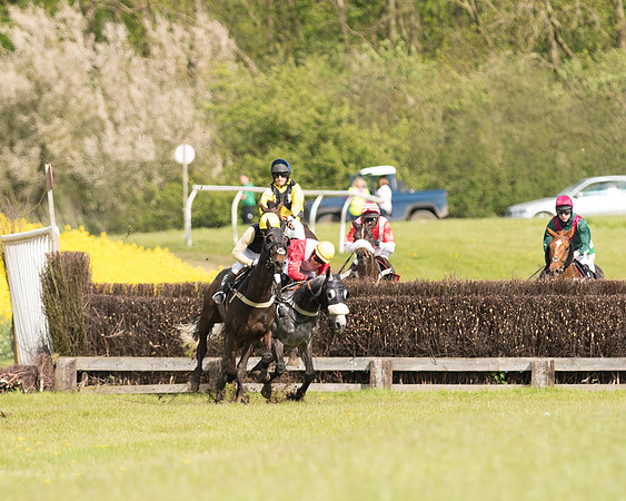 Race 4 - Fernie Gold Cup (55 of 78).jpg