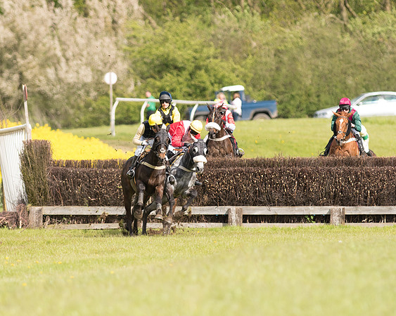Race 4 - Fernie Gold Cup (56 of 78).jpg