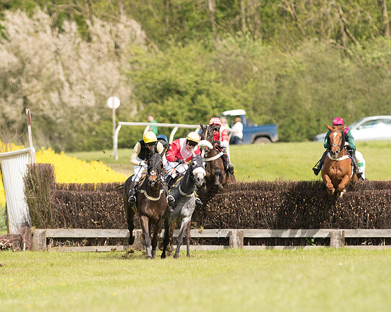 Race 4 - Fernie Gold Cup (57 of 78).jpg
